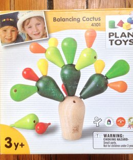 Balancing Cactus