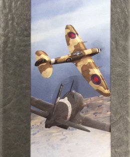 Pocket Air War: Mediterranean Front