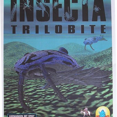Insecta: Trilobite