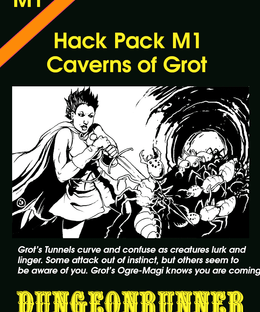 Dungeonrunner: Caverns of Grot