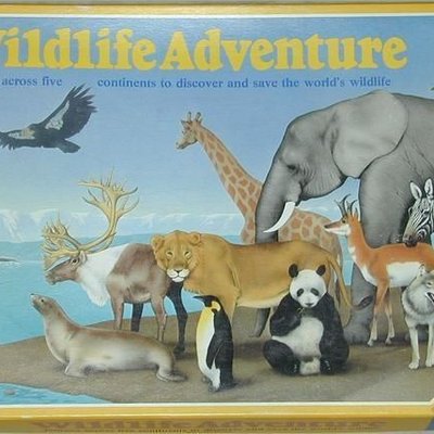 Wildlife Adventure