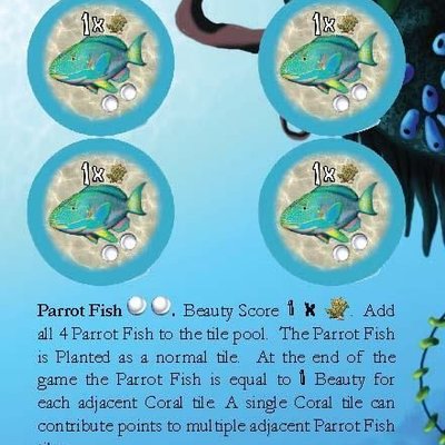 Octopus' Garden: Parrot Fish