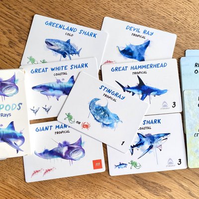 Ocean Pods: Sharks & Rays