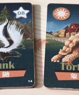 Animals Frightening Night! Tortoise and Skunk