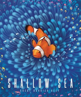 Shallow Sea