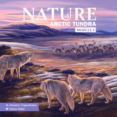 Nature: Arctic Tundra