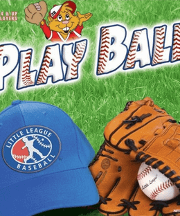 Play Ball The Board Game