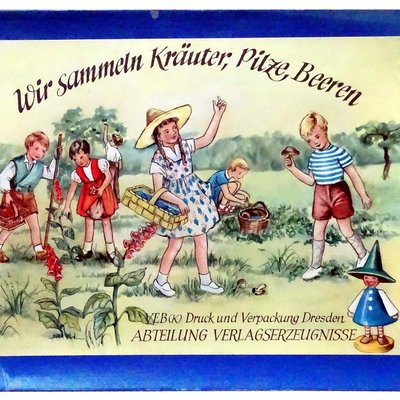 Wir sammeln Kräuter, Pilze, Beeren