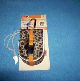 Wissensquiz Raubtiere