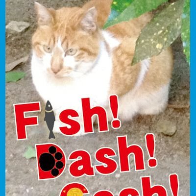 Fish! Dash! Cash!