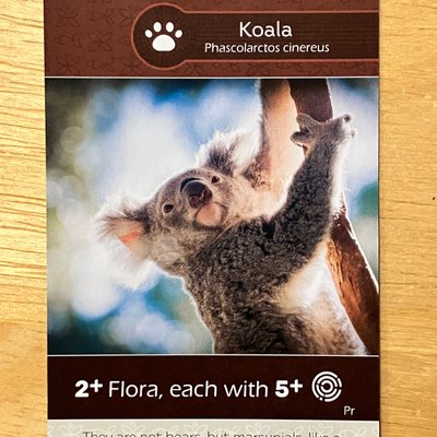 Earth: African Lion/Koala Promo Card