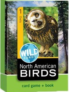 Wild Cards: North American Birds