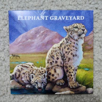 Nature: Elephant Graveyard