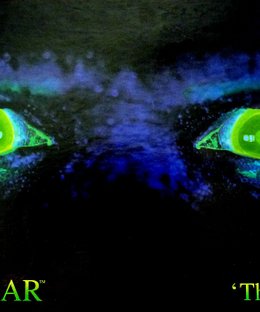 Atmosfear: The Harbingers