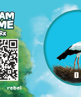 Dream Home: Promo Token – Stork