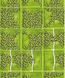 Forests (fan expansion for Carcassonne)