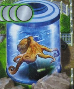 Zooloretto: Octopus