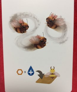 Petrichor: Honeybee – The Swarming Promo Card