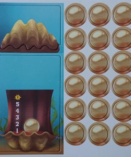 Wreck Raiders: The Giant Clam