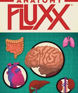 Anatomy Fluxx