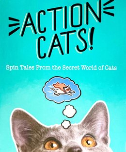 Action Cats!
