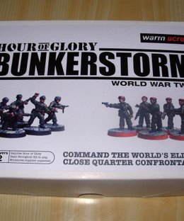 Hour of Glory: Bunkerstorm