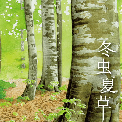 冬虫夏草 (Caterpillar Fungi)