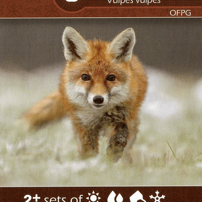 Earth: Red Fox/Badger Promo Card