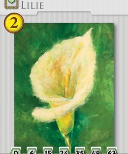 Promenade: Private Collection Expansion