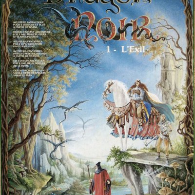 Dragon Noir 1: L'Exil