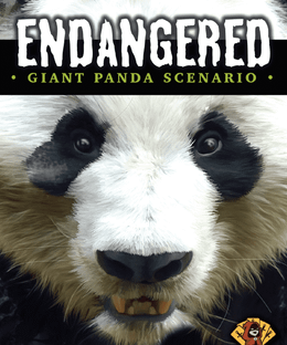 Endangered: Giant Panda Scenario