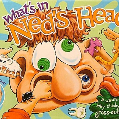What's in Ned's Head?