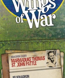 Wings of War: The Last Biplanes Squadron Pack