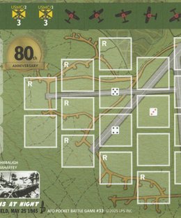 Cherry Blossoms at Night