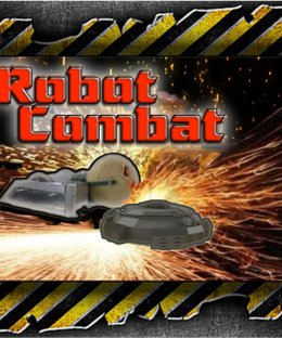 Robot Combat