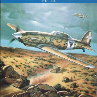 Blue Sea / Blue Sky: Aerial Combat in the Mediterranean Theatre, 1940-1943