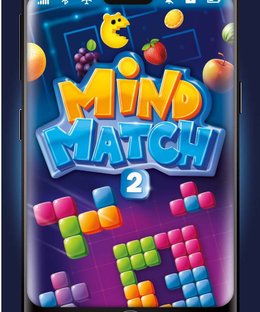 Mind Match-2
