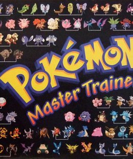 Pokémon Master Trainer