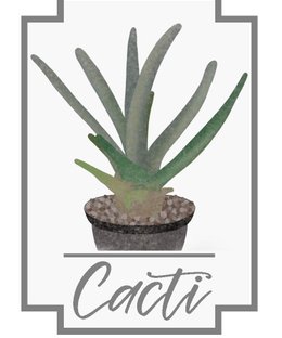 Cacti