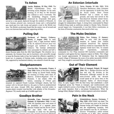 Friendly Fire Pack 9