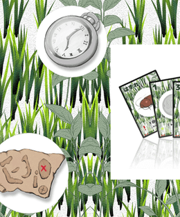 サマータイムメモリー (SUMMER TIME MEMORY)