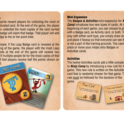 Ninja Camp: Badges and Activities