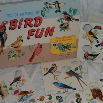 Bird Fun
