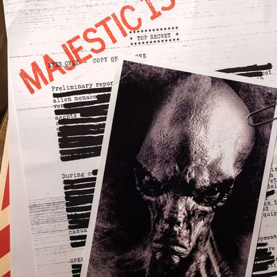 Majestic 13