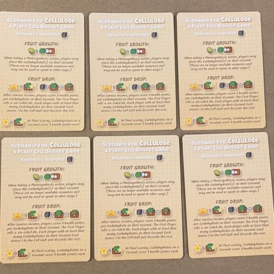 Cellulose: A Plant Cell Biology Game – Coconut Scenario