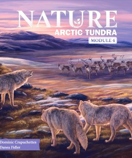 Nature: Arctic Tundra