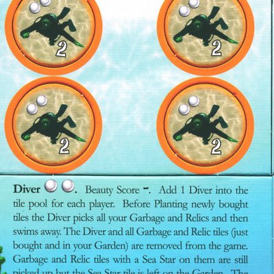 Octopus' Garden: Diver