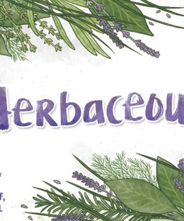 Herbaceous