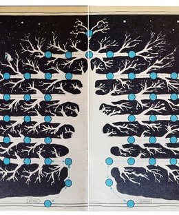 Heiter auf der Leiter