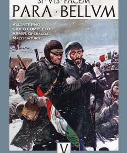 ARMIR, Operacija Malyj Saturn